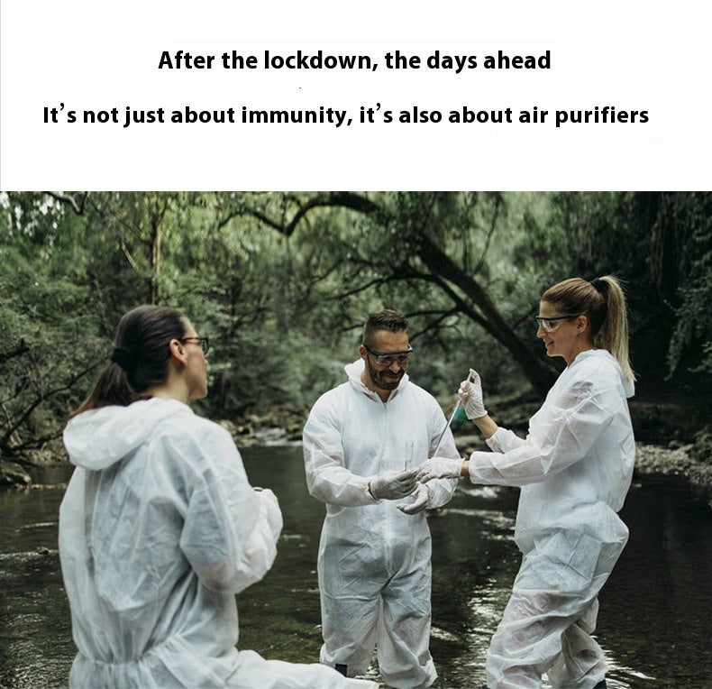 Air Purifier Formaldehyde Removal Deodorant